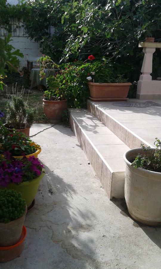 Αmmos Rooms Paleochora Buitenkant foto