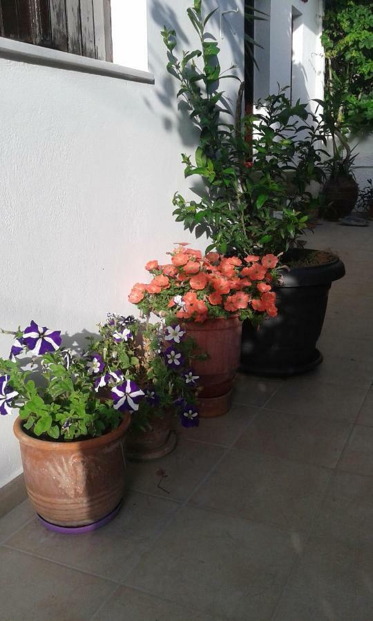 Αmmos Rooms Paleochora Buitenkant foto
