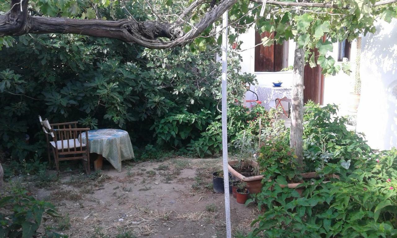 Αmmos Rooms Paleochora Buitenkant foto