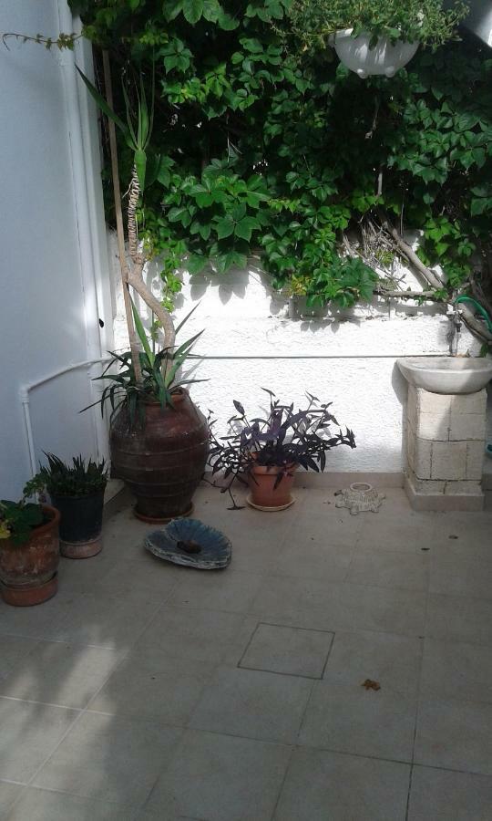 Αmmos Rooms Paleochora Buitenkant foto