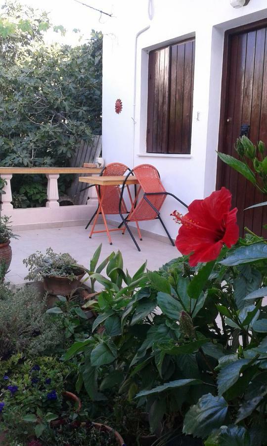 Αmmos Rooms Paleochora Buitenkant foto